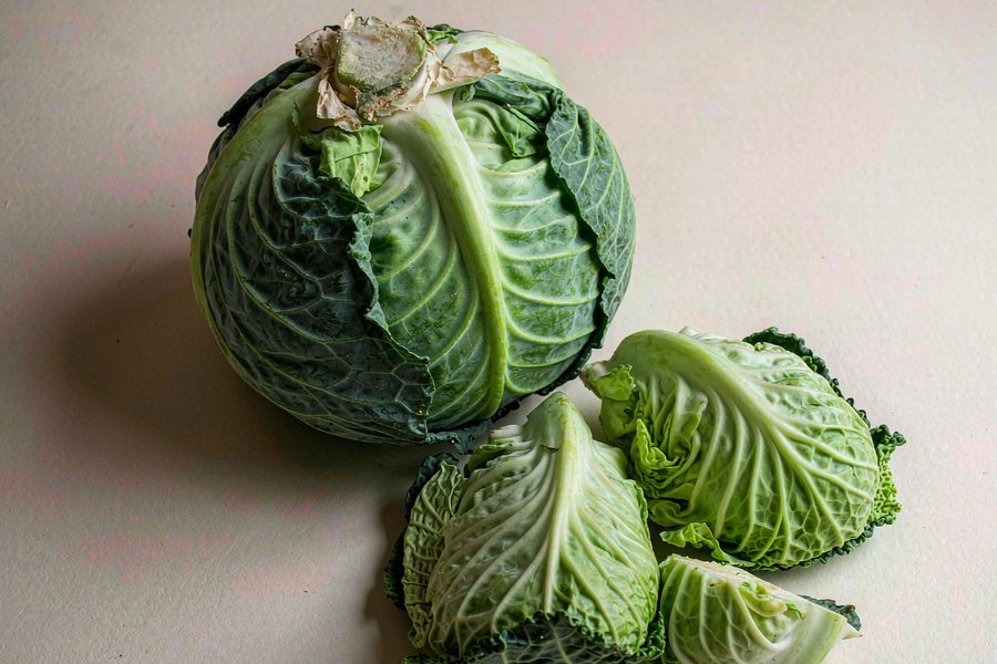 卷心菜