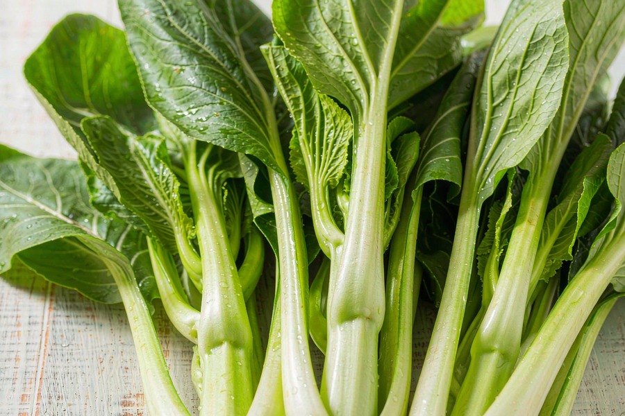 菜心
