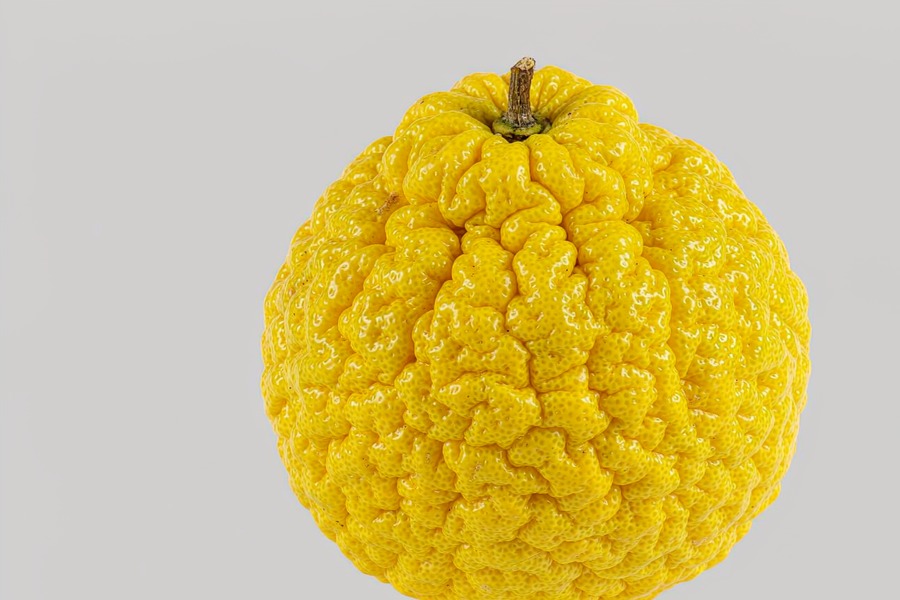 枸橼
