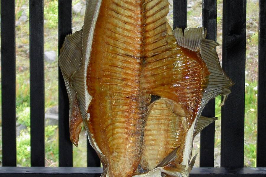 鳕鱼