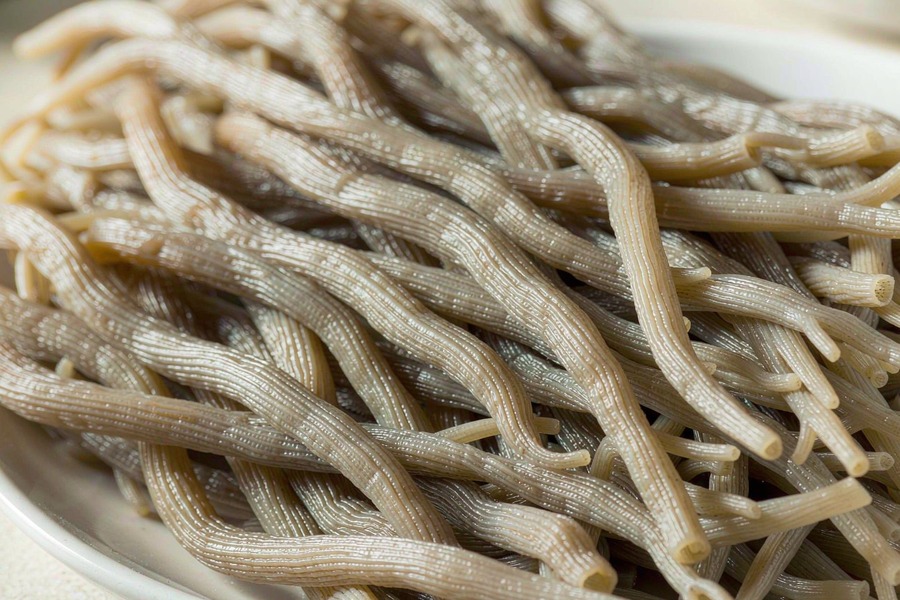 鹿角菜