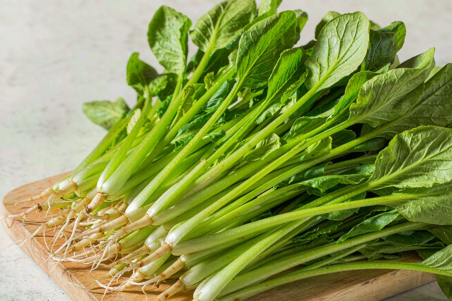 鸡毛菜