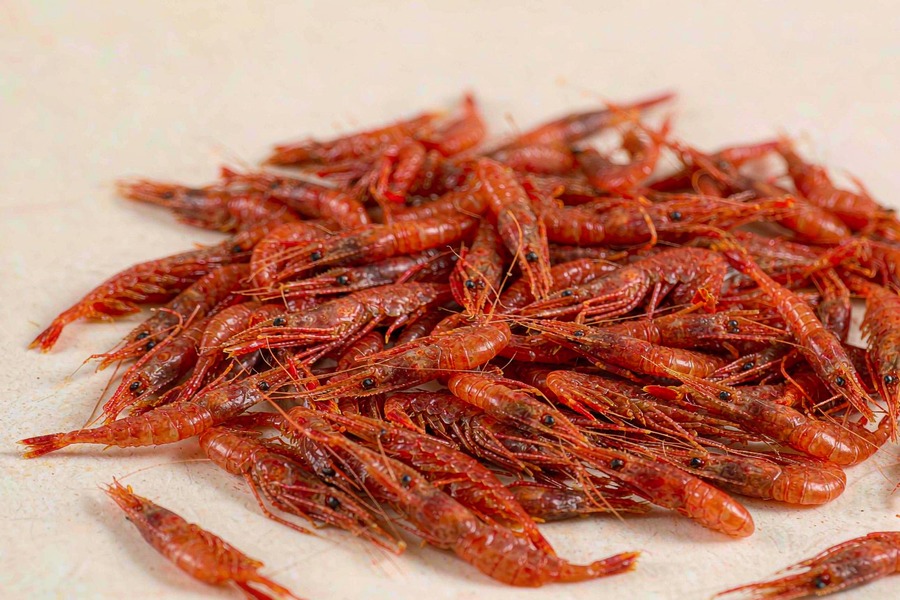 磷虾