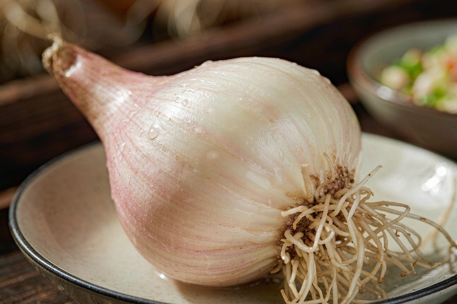 百合