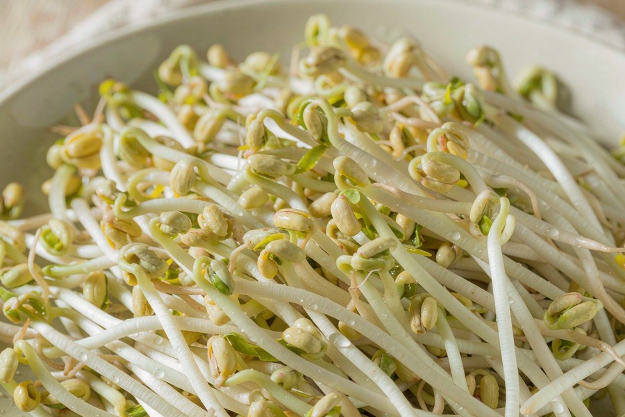 绿豆芽