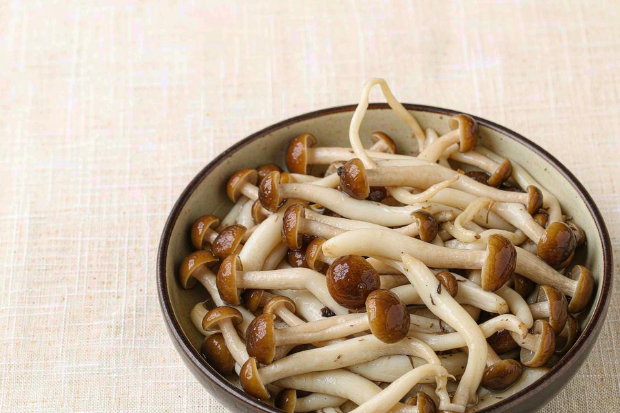 滑子菇