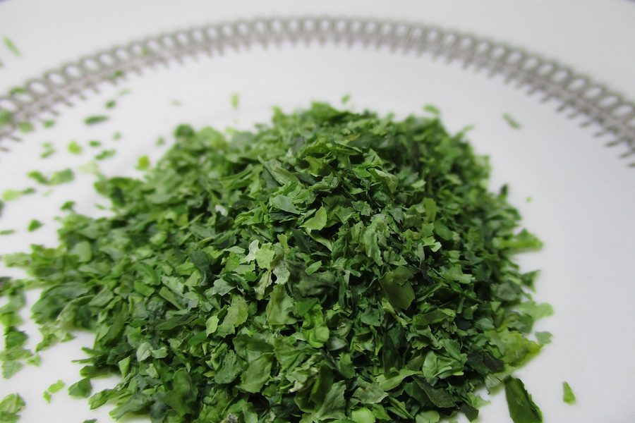 紫菜
