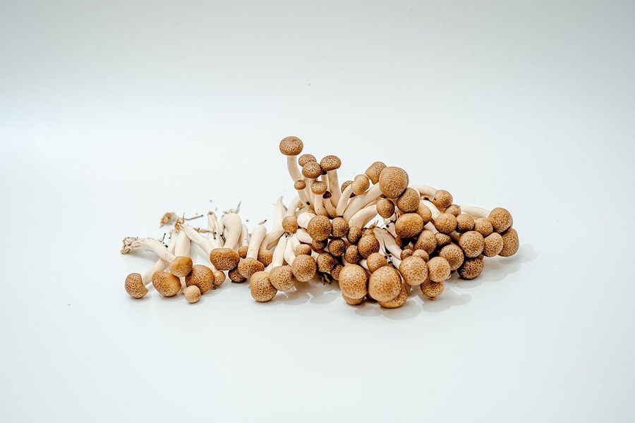 蟹味菇